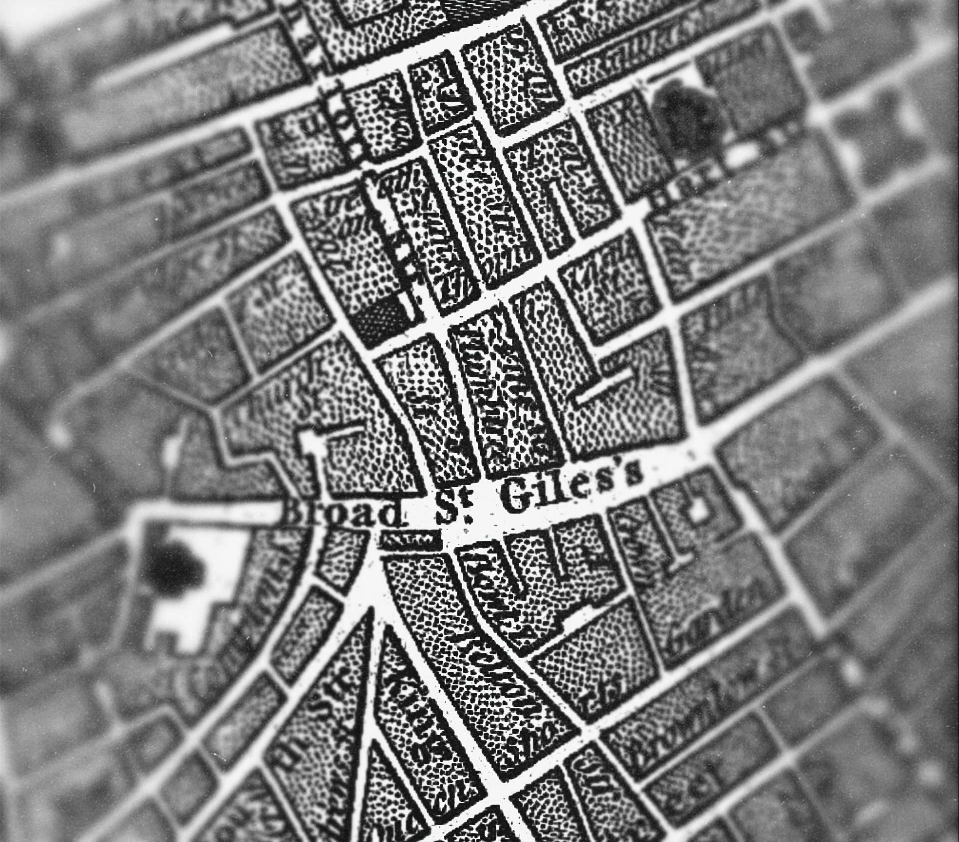 Squalere 167